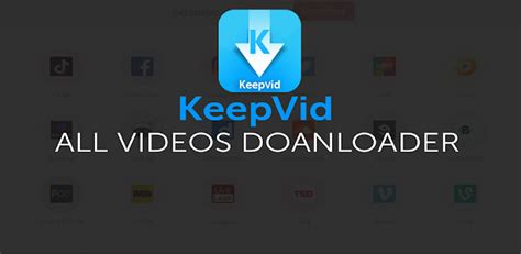 getvid downloader|download keepvid for windows 10.